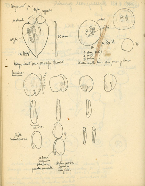 figura 3